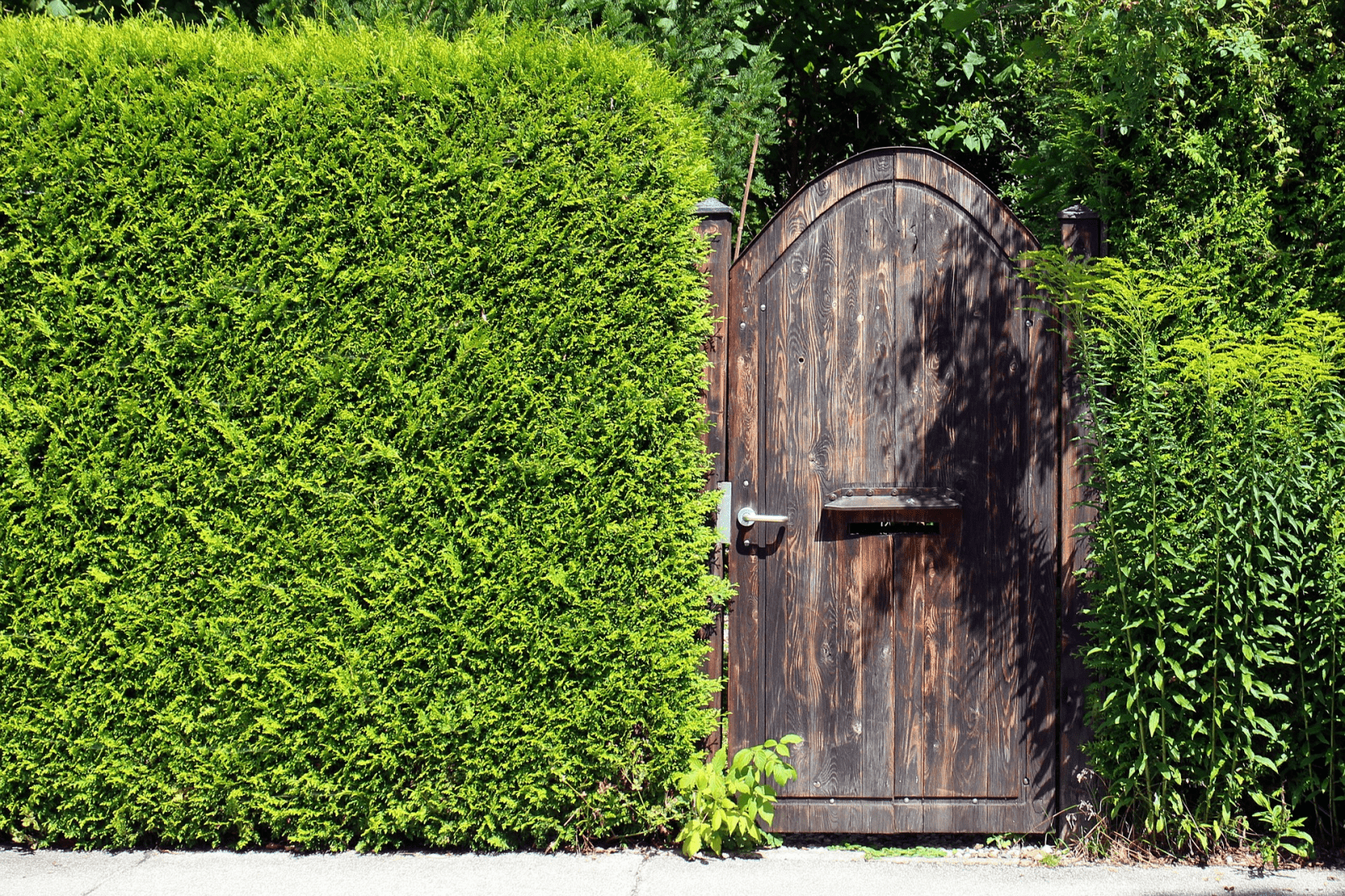 Picking the best lock for your garden gate